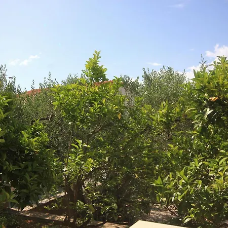 With Parking Space Orebic, Peljesac - 10087 * Orebić