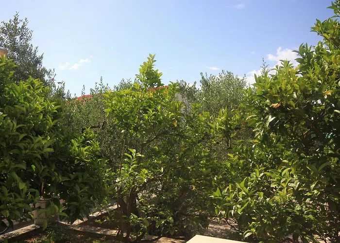 With Parking Space Orebic, Peljesac - 10087 * Orebić